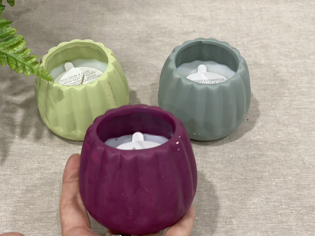 Candles - Combo 3 hủ 85g - CDL022123