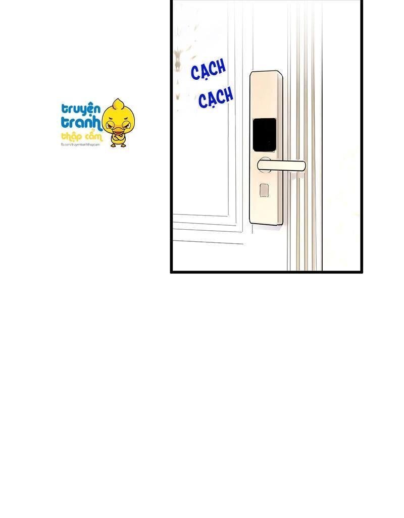 nhạ thượng thủ tịch tổng tài chapter 203 16