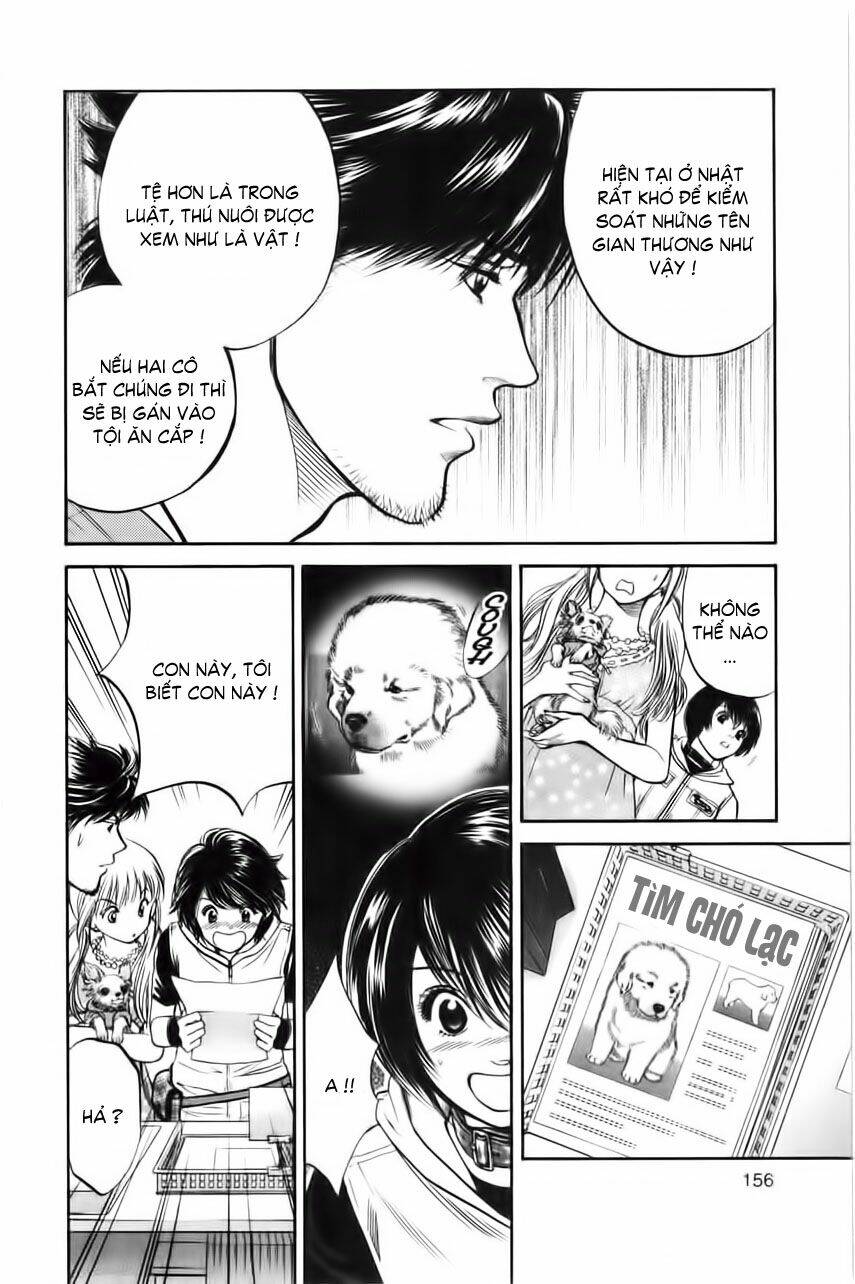 cô nàng yêu chó chapter 28 6