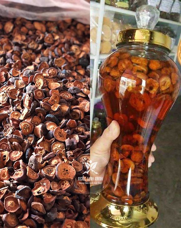 Táo mèo Tây Nguyên khô hàng tây nguyên thơm vị chua chua chát chát chuyên dùng ngâm