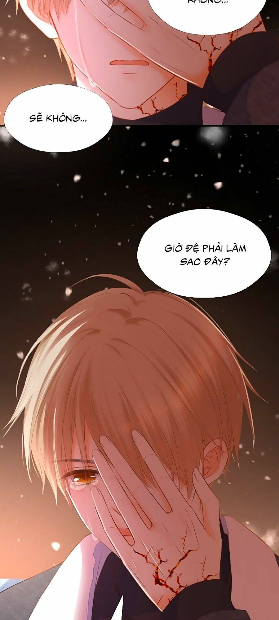 đóa hoa chớm nở chapter 74 9