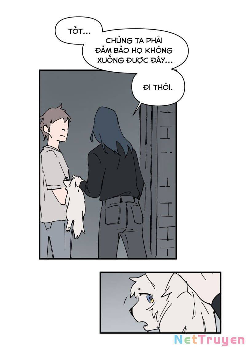 lumine - cội nguồn ánh sáng chapter 157 16