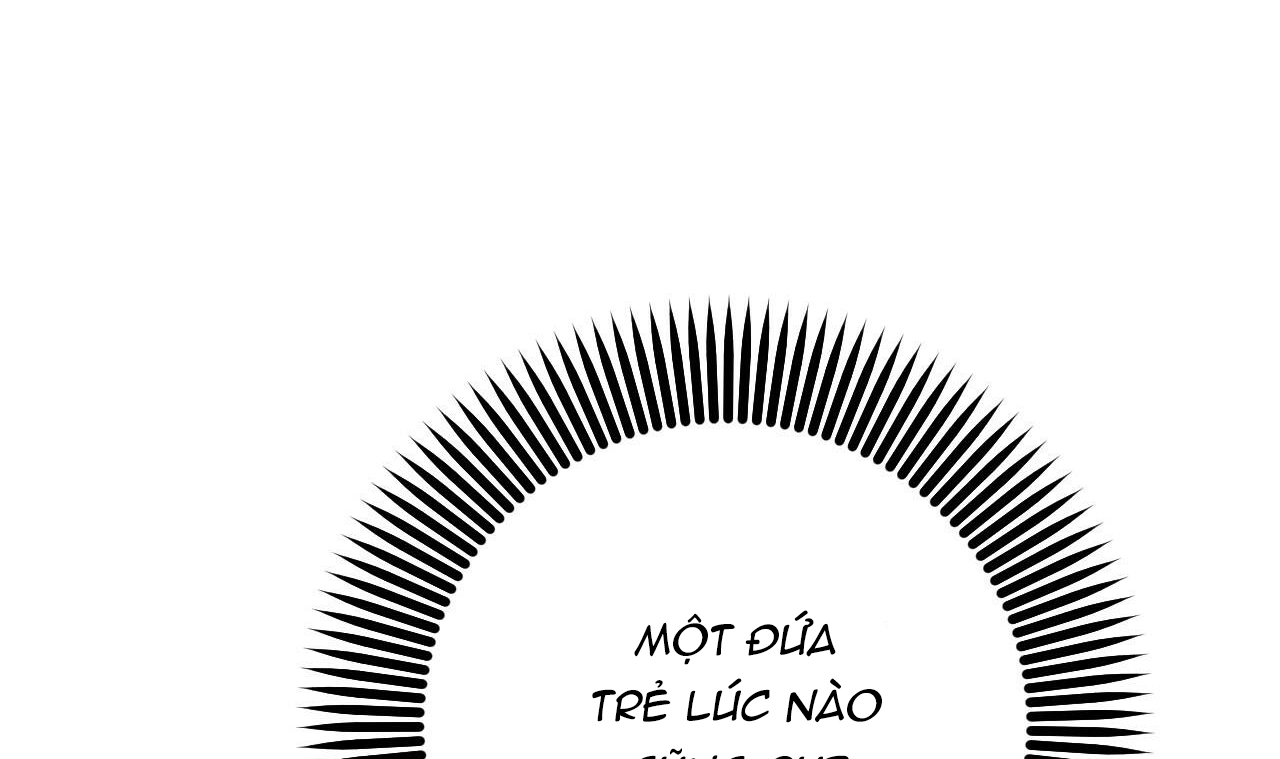 những chú thỏ của hapypy chapter 49 136