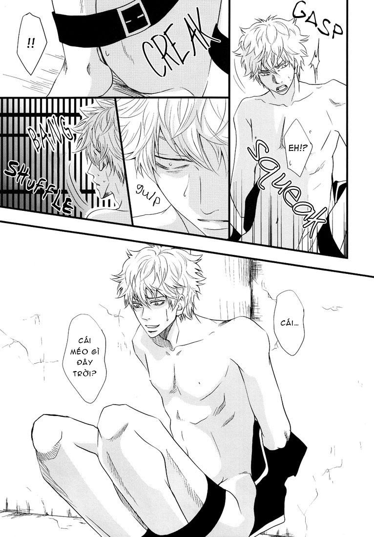 oneshot hỏny chapter 48 11