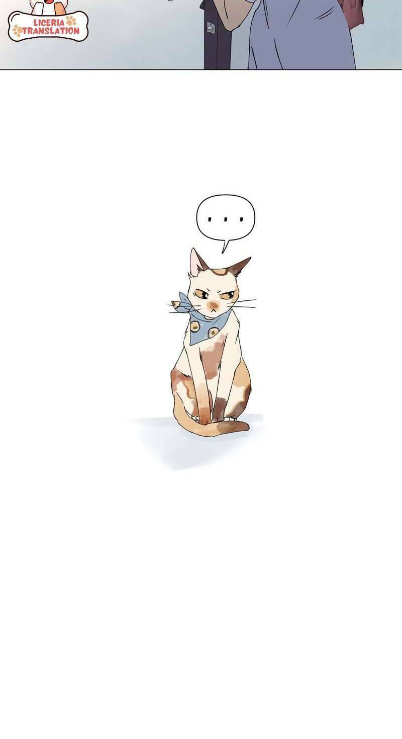 honey lemon chapter 2 38