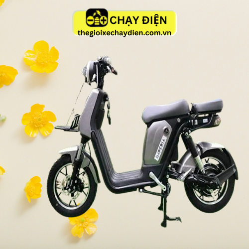 XE ĐẠP ĐIỆN KAISER IMPERIA