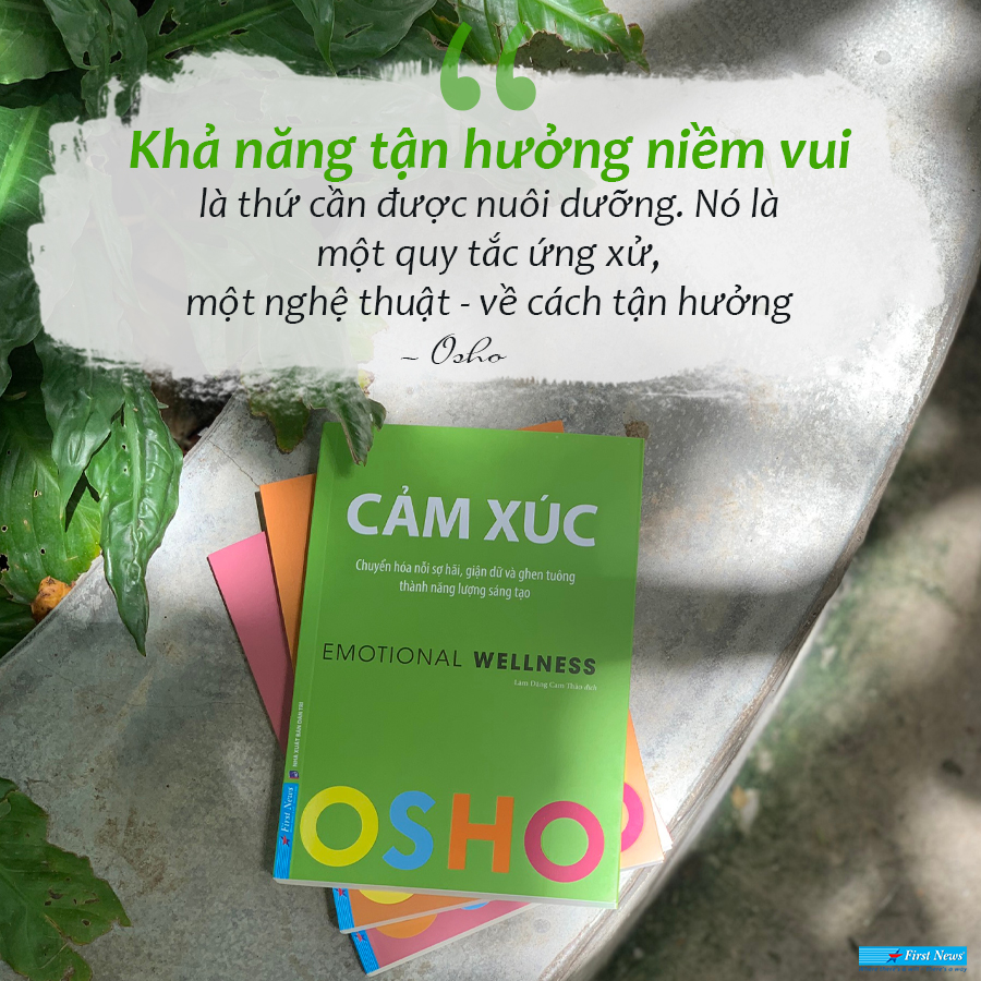 Sách - Combo 3 Cuốn OSHO : Yêu + Hiểu + Cảm Xúc