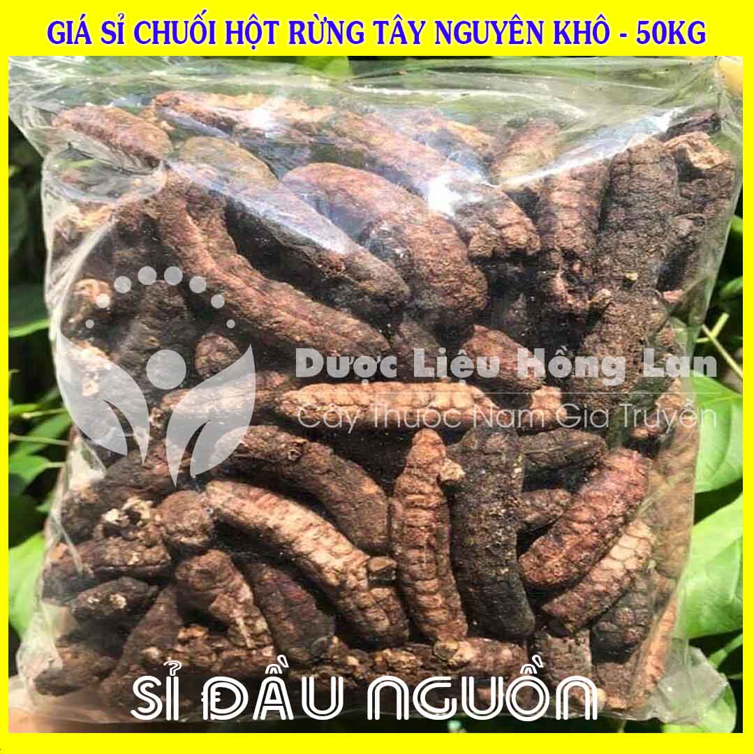 Cung cấp sỉ Chuối Hột Rừng Tây Nguyên khô giá bán 50kg