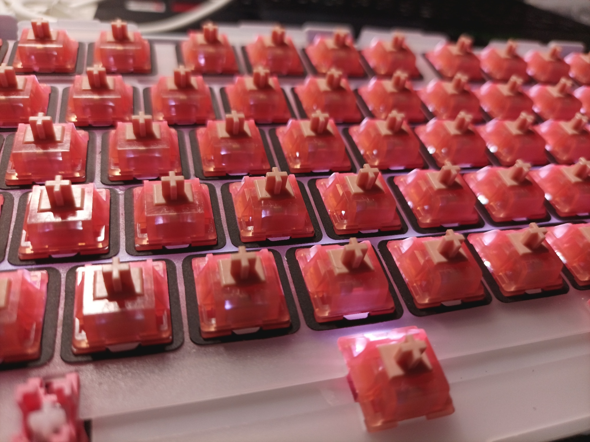 Công tắc thay thế bàn phím cơ AKKO CS Switch _Mới, hàng chính hãng
