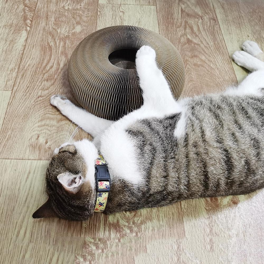 Đồ Chơi Cho Mèo Cào Bảng Lò Xo