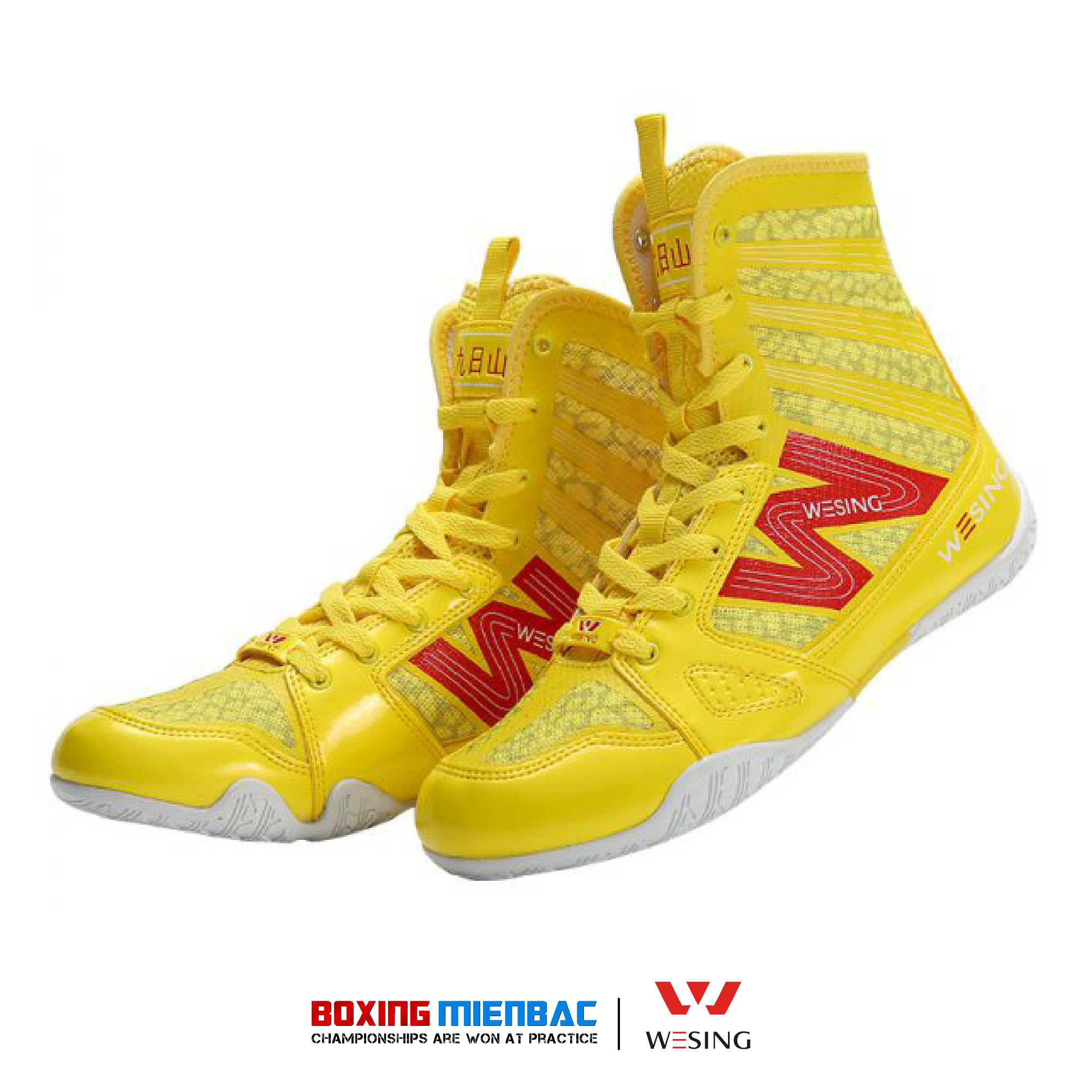 Giày Boxing Wesing - Boxing Shoes Wesing/ Màu Vàng