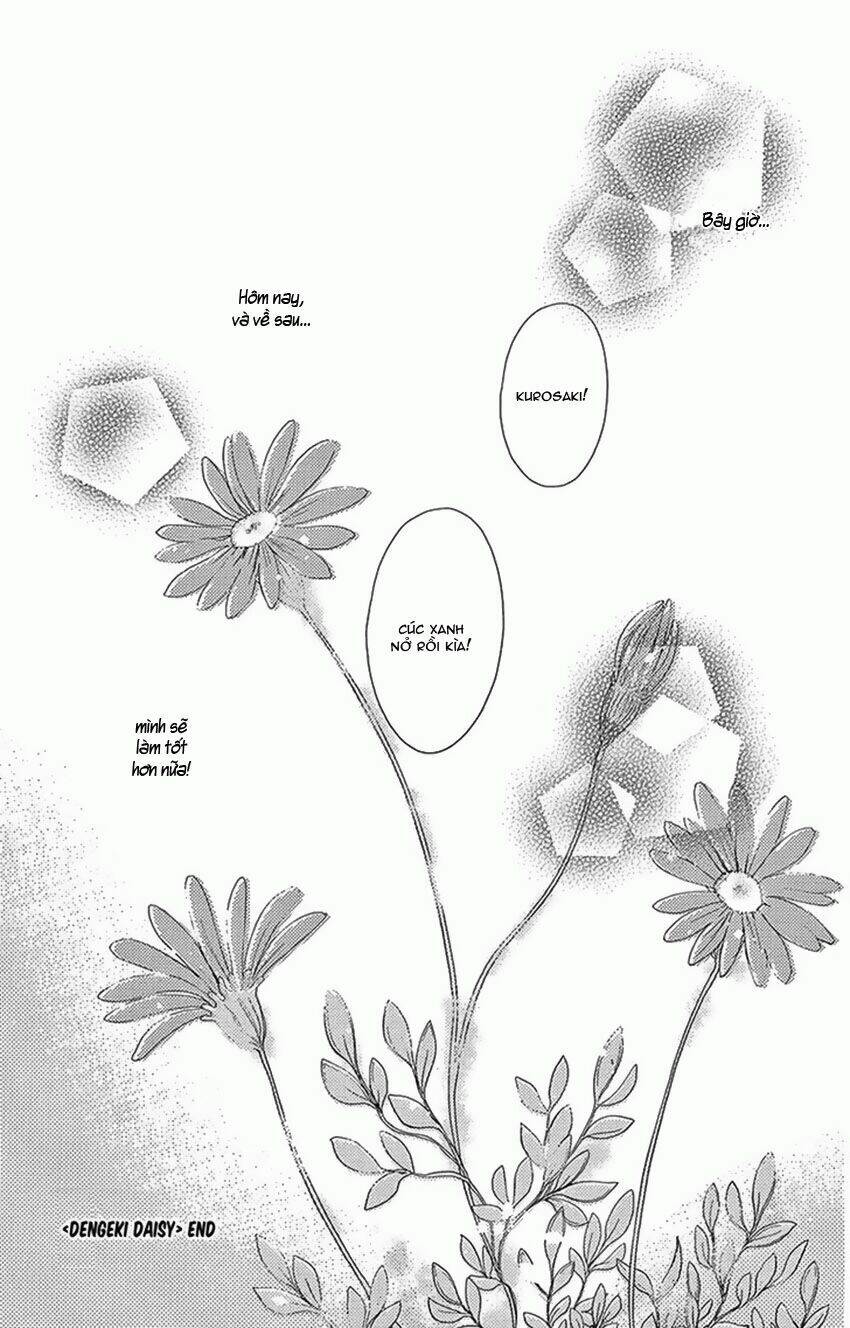 điện kích daisy chapter 75 48