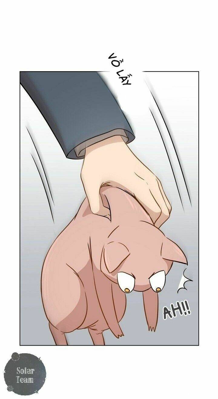 một cuộc sống kỳ lạ chapter 1 58