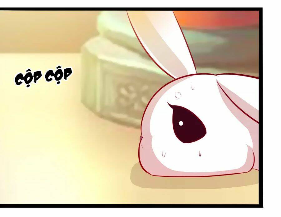 thỏ yêu tiểu vương phi chapter 50 8