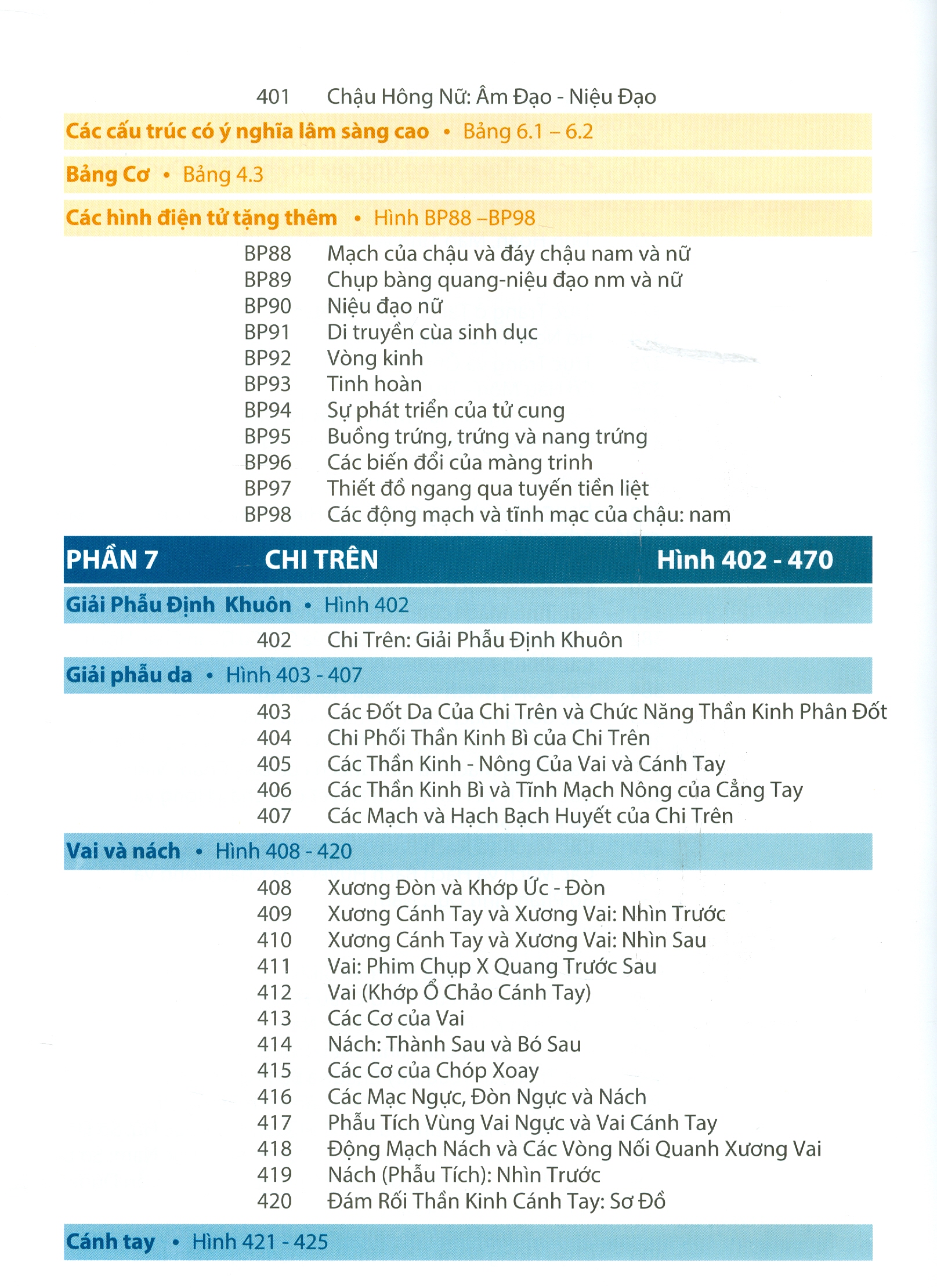 ATLAS GIẢI PHẪU NGƯỜI - In Lần Thứ IV (năm 2022) Theo Ấn Phẩm Lần Thứ VII Của Nxb Elsevier Có Sửa Chữa Và Bổ Sung (ATLAS OF HUMAN ANATOMY  Seventh Edition)