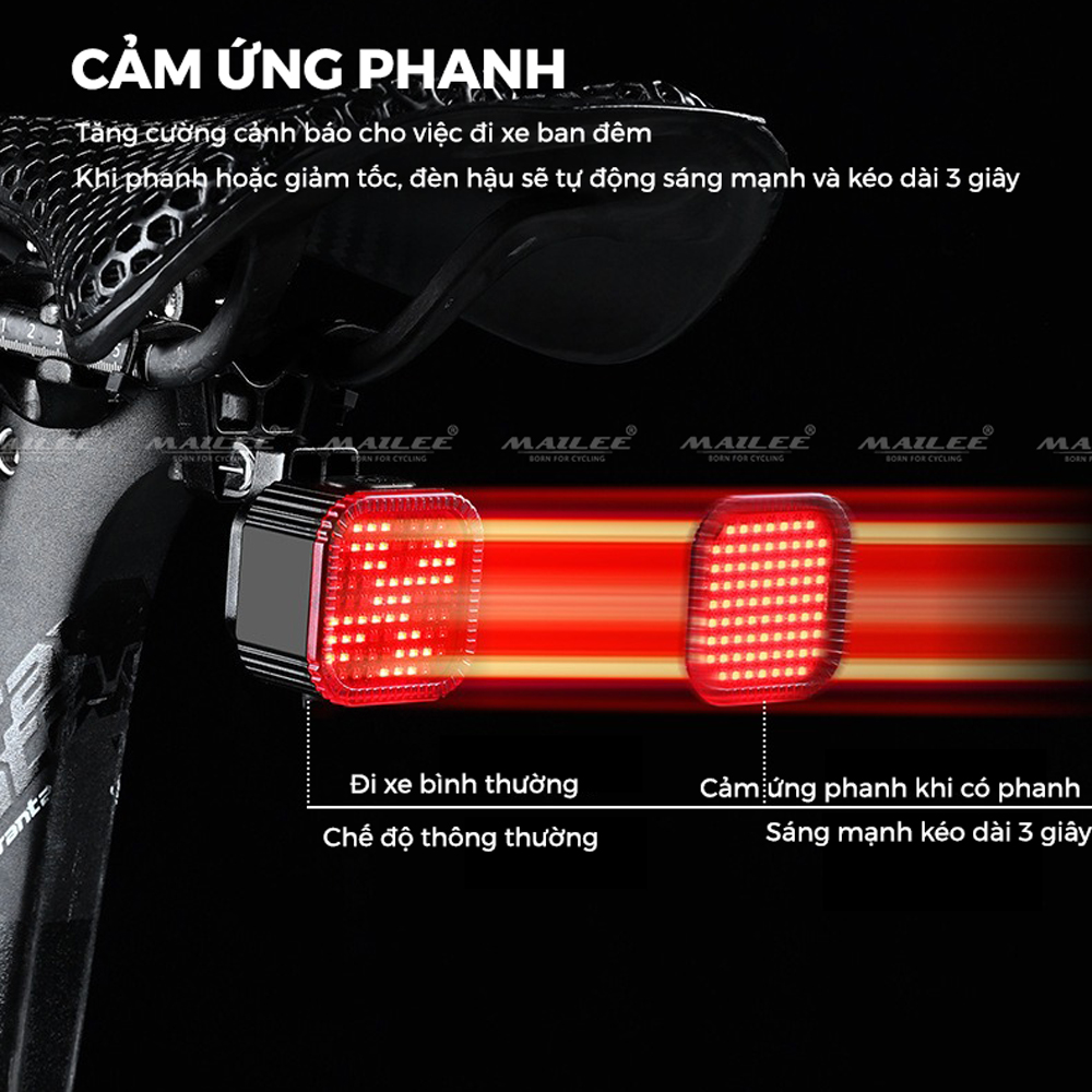Đèn Hậu Xe Đạp Thông Minh 10 mẫu hình CYGM-2213 Chống Nước IPX6 USB Type-C Sáng Phanh tự động An Toàn Ban Đêm Auto-Stop - Mai Lee
