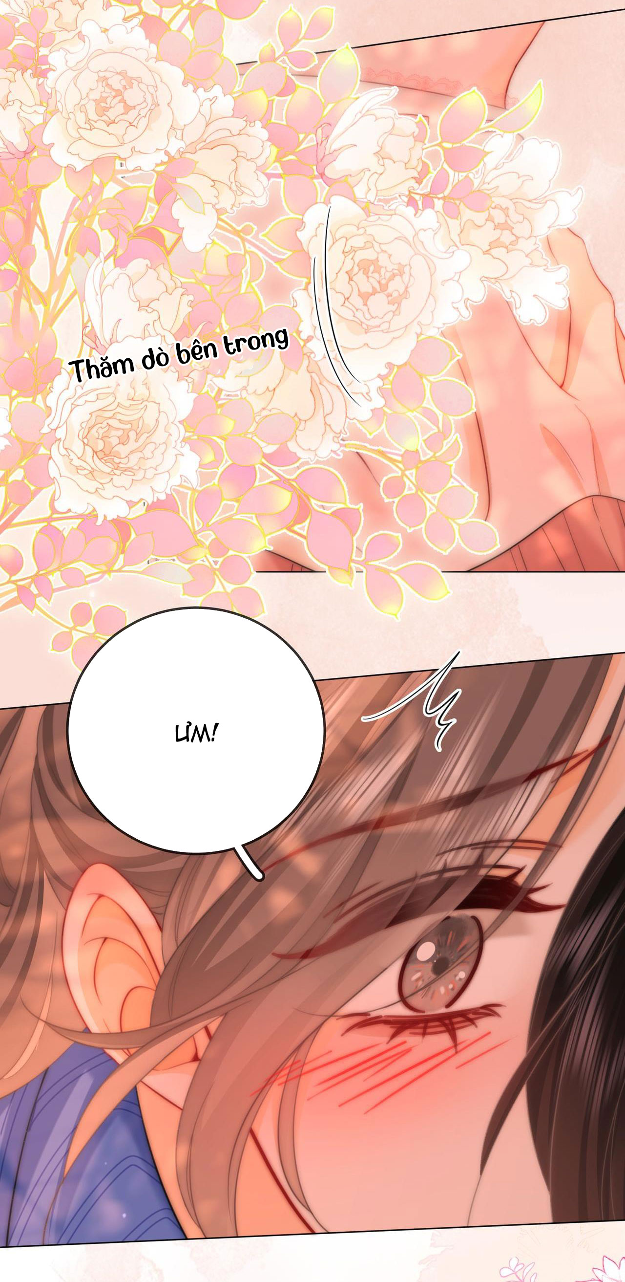 cố tiểu thư và khúc tiểu thư chapter 98 12