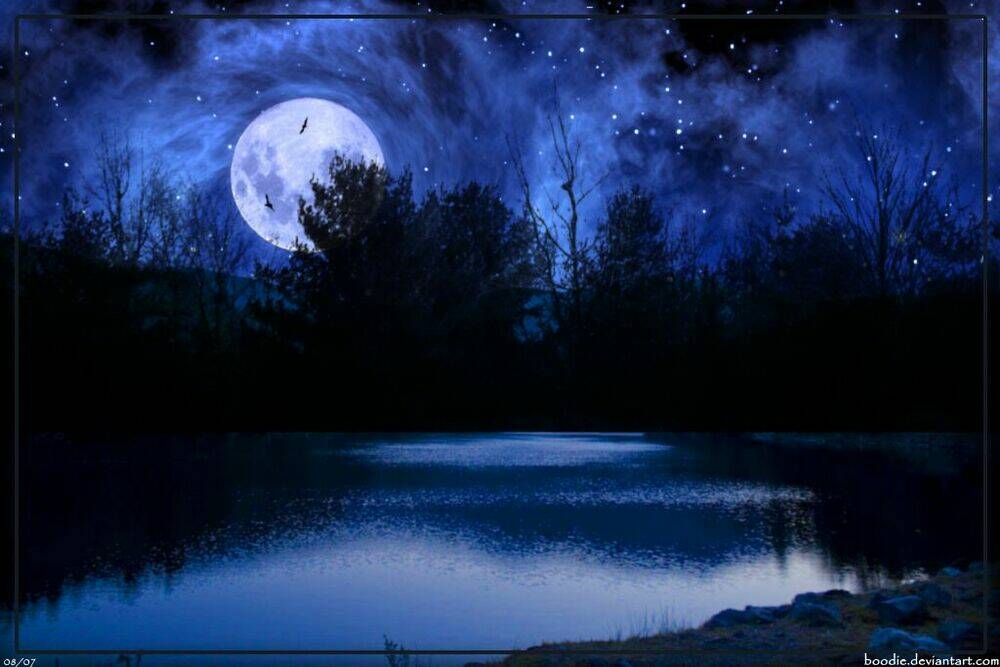 album natural wallpapers chapter 23 6