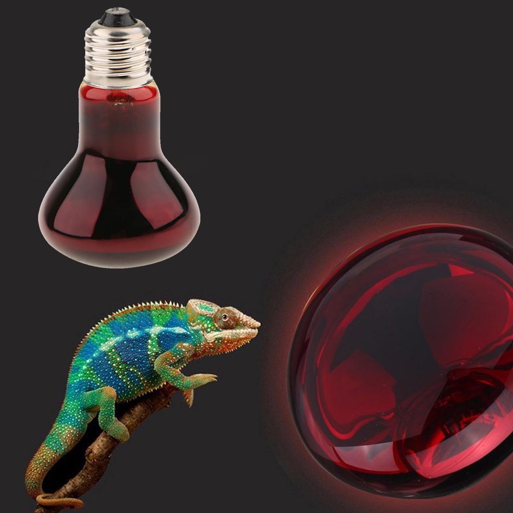 2 Pcs Reptile Tortoise Vivarium Heat Lamp Spot Basking Night Light 100W
