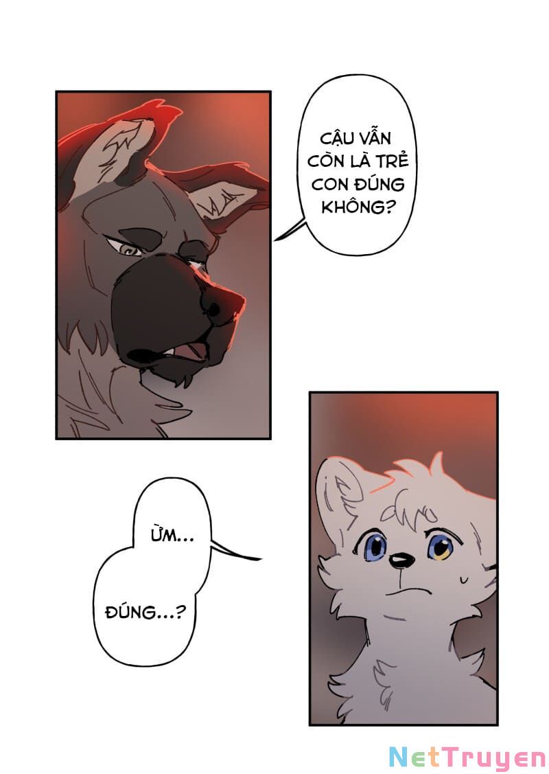 lumine - cội nguồn ánh sáng chapter 107 4