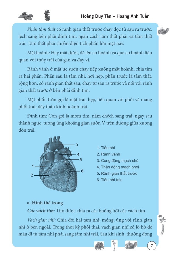 Sách Tâm Và Tiểu Trường Trong Đông Y (Bìa mềm)