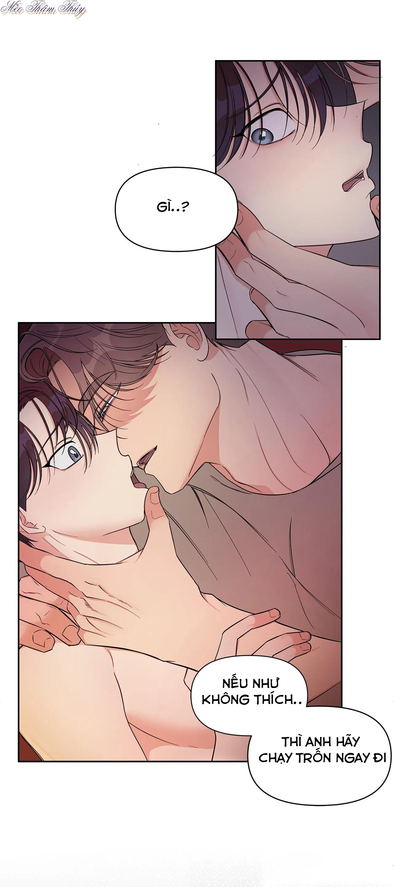 tiền bối của tôi chapter 3 23