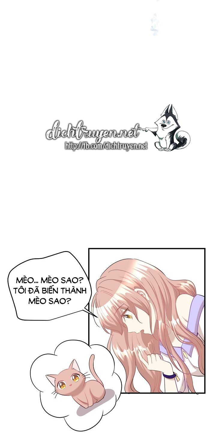 cuộc sống kỳ thú chapter 29 58