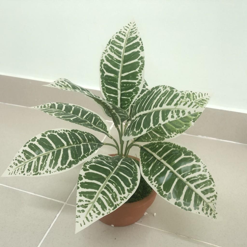 Cây giả trang trí - Cành lá giá - YY-35