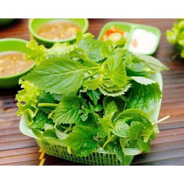 Gói 2g Hạt giống rau kinh giới cao sản - năng suất cao, dễ trồng, không cần chăm bón