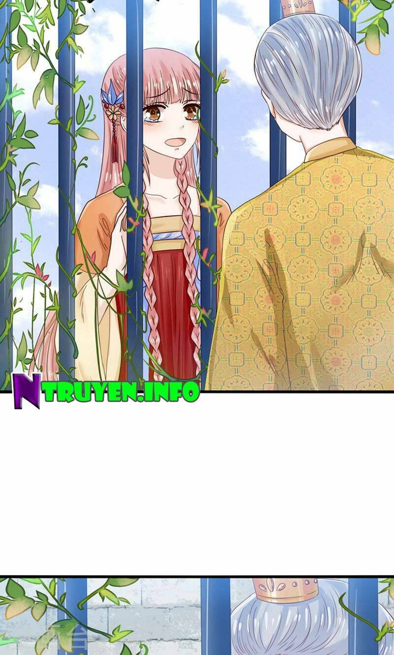 tôi bị gấu trúc nhìn trúng rồi chapter 23 28