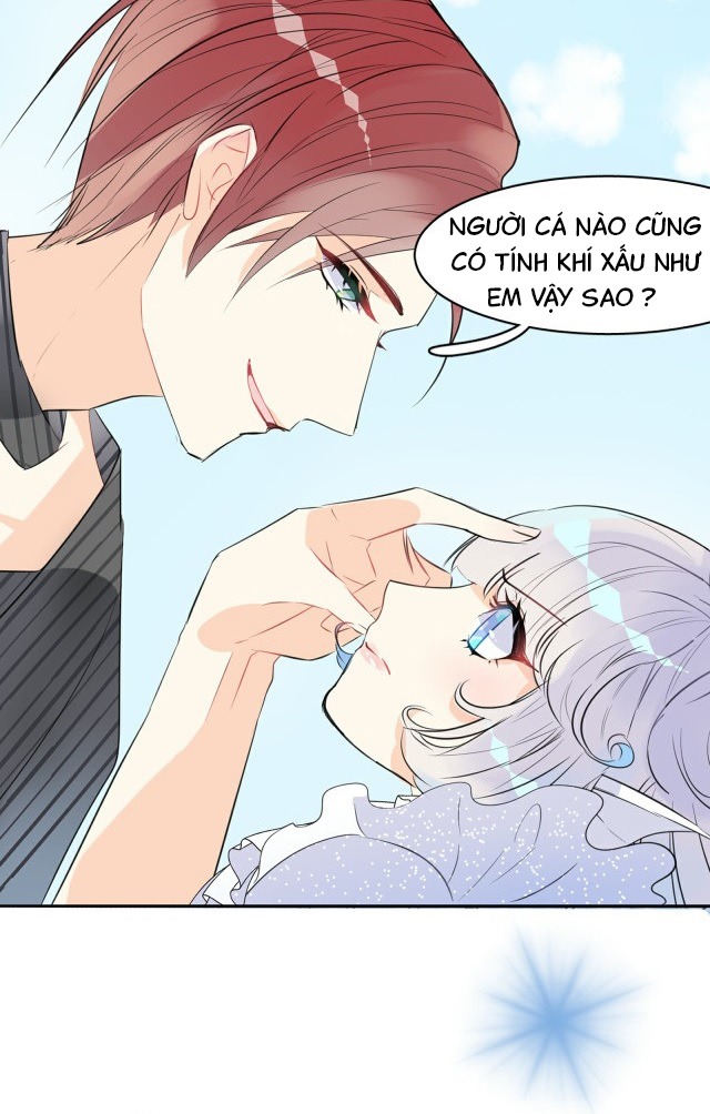 bộ váy của nàng tiên cá chapter 0.2 12