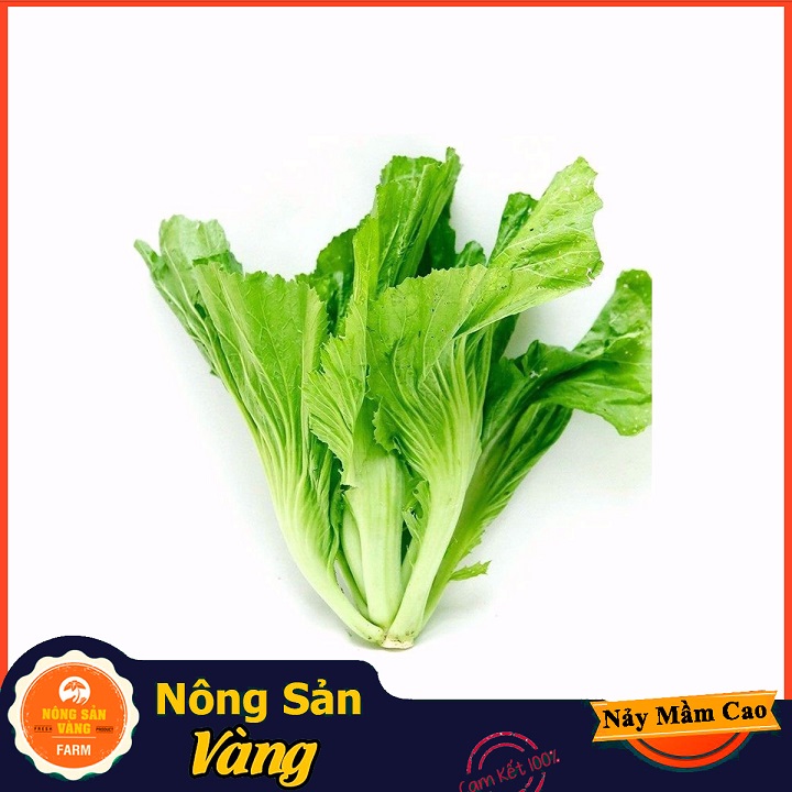 Hạt giống Cải Bẹ Xanh Mỡ Cao Sản ( Gói 20 Gram ) - Nông Sản Vàng