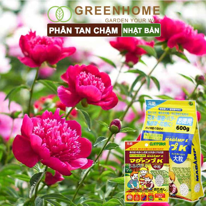 Phân tan chậm Nhật, Hyponex, Magamp K 640-6-15, giúp rễ khoẻ, hoa nhiều, bông to, đậu quả tốt |Greenhome