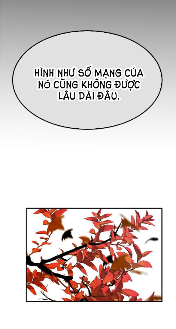 Cạm Bẫy chapter 159.2 60