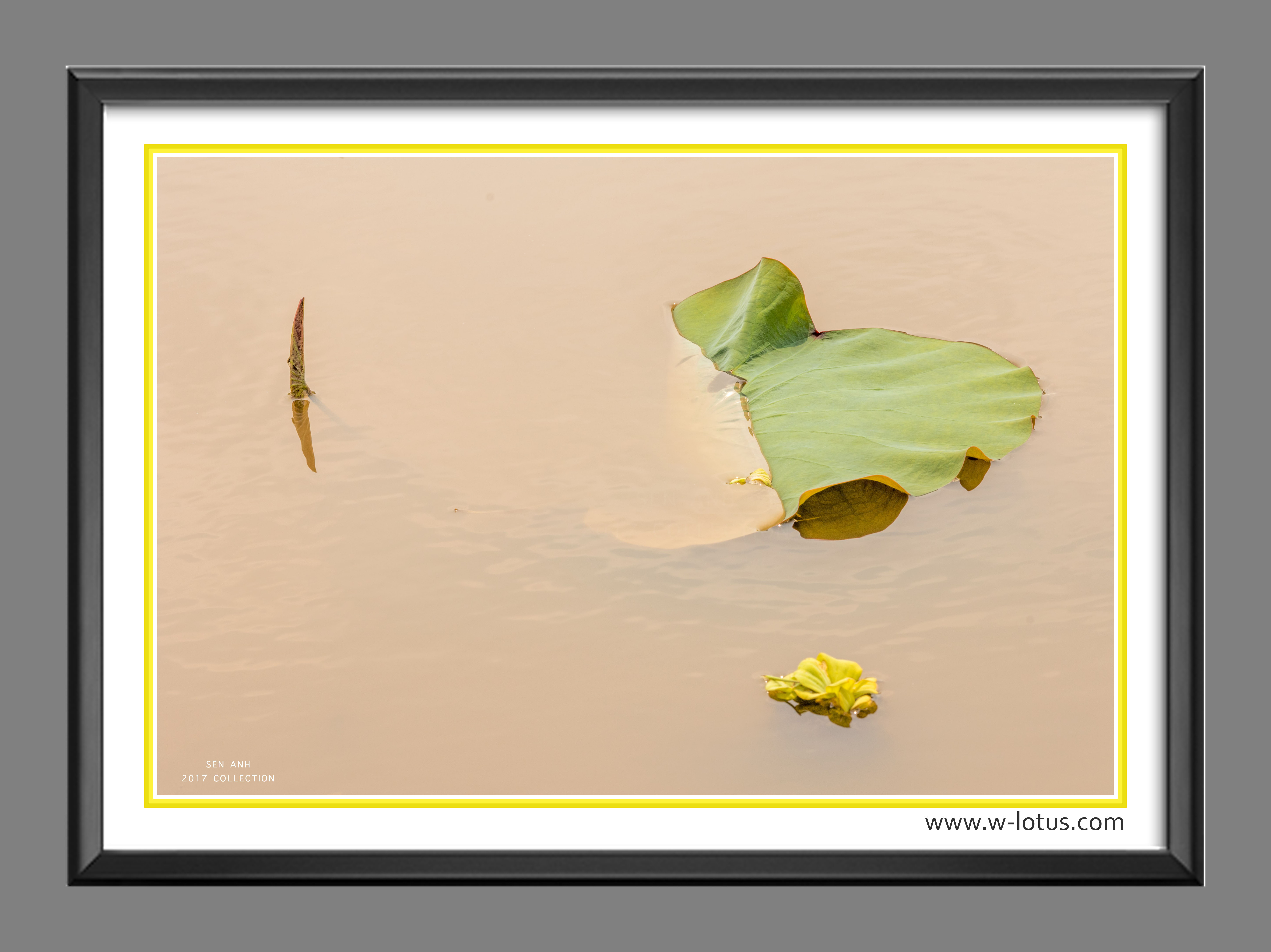 Tranh canvas hoa Sen treo phòng khách ST-00205