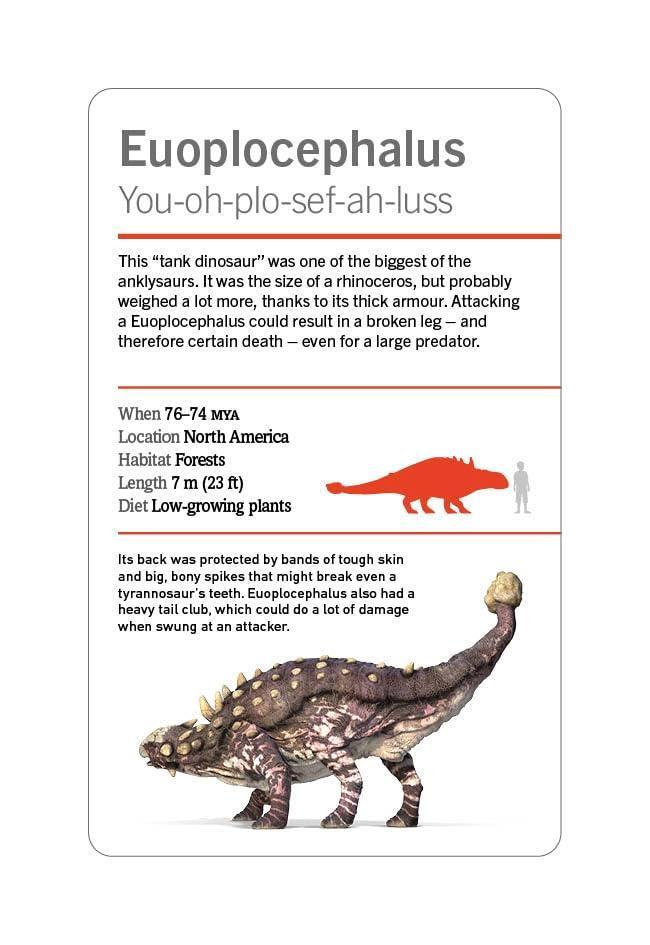 Sách ngoại văn: Our World In Pictures - Dinosaurs And Other Prehistoric Creatures Flash Cards