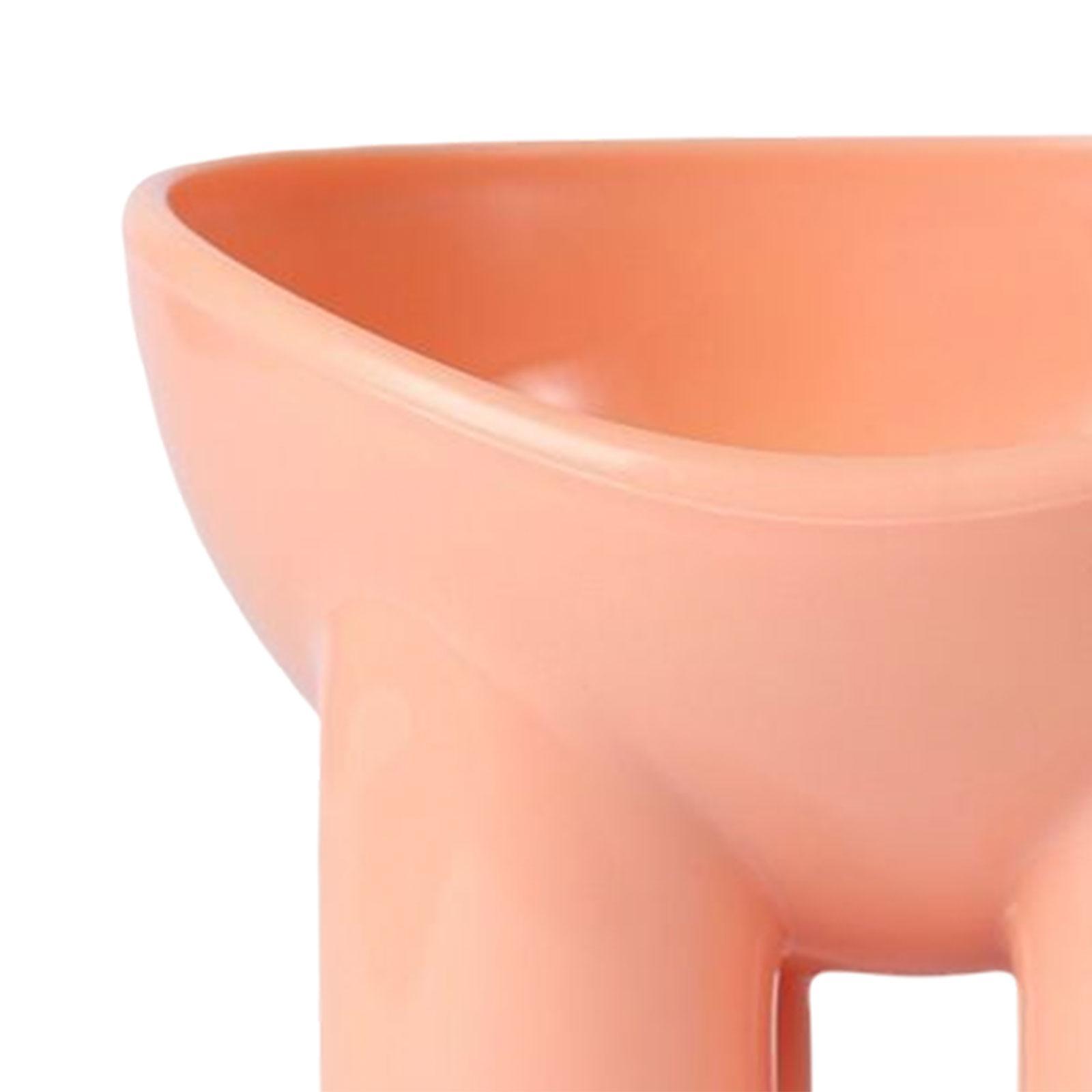 Cat Food Bowl Pet Feeding Dish Feeder Food Container Pet