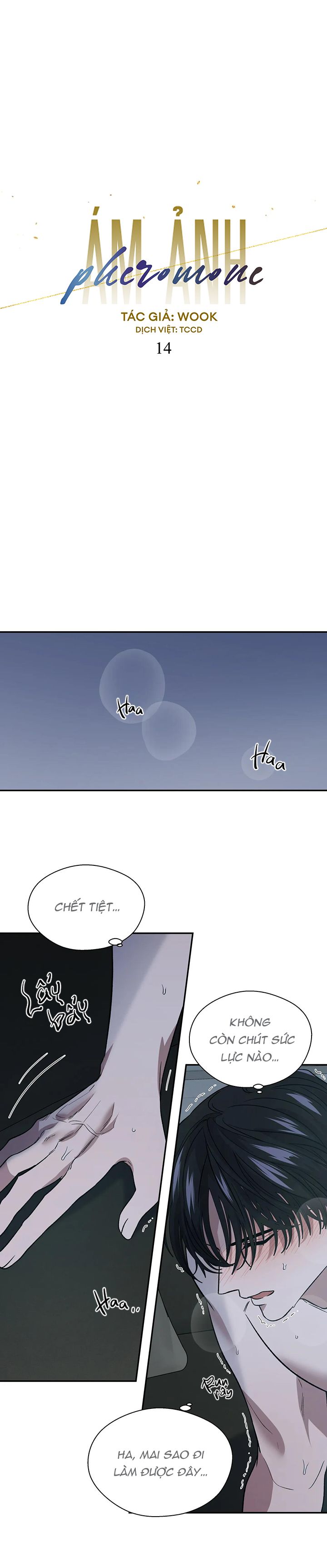 ám ảnh pheromone chapter 14 13