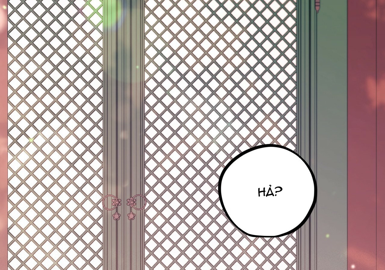 đàn thỏ của habibi chapter 21 204