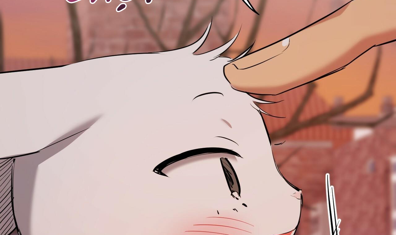 đàn thỏ của habibi chapter 37 154