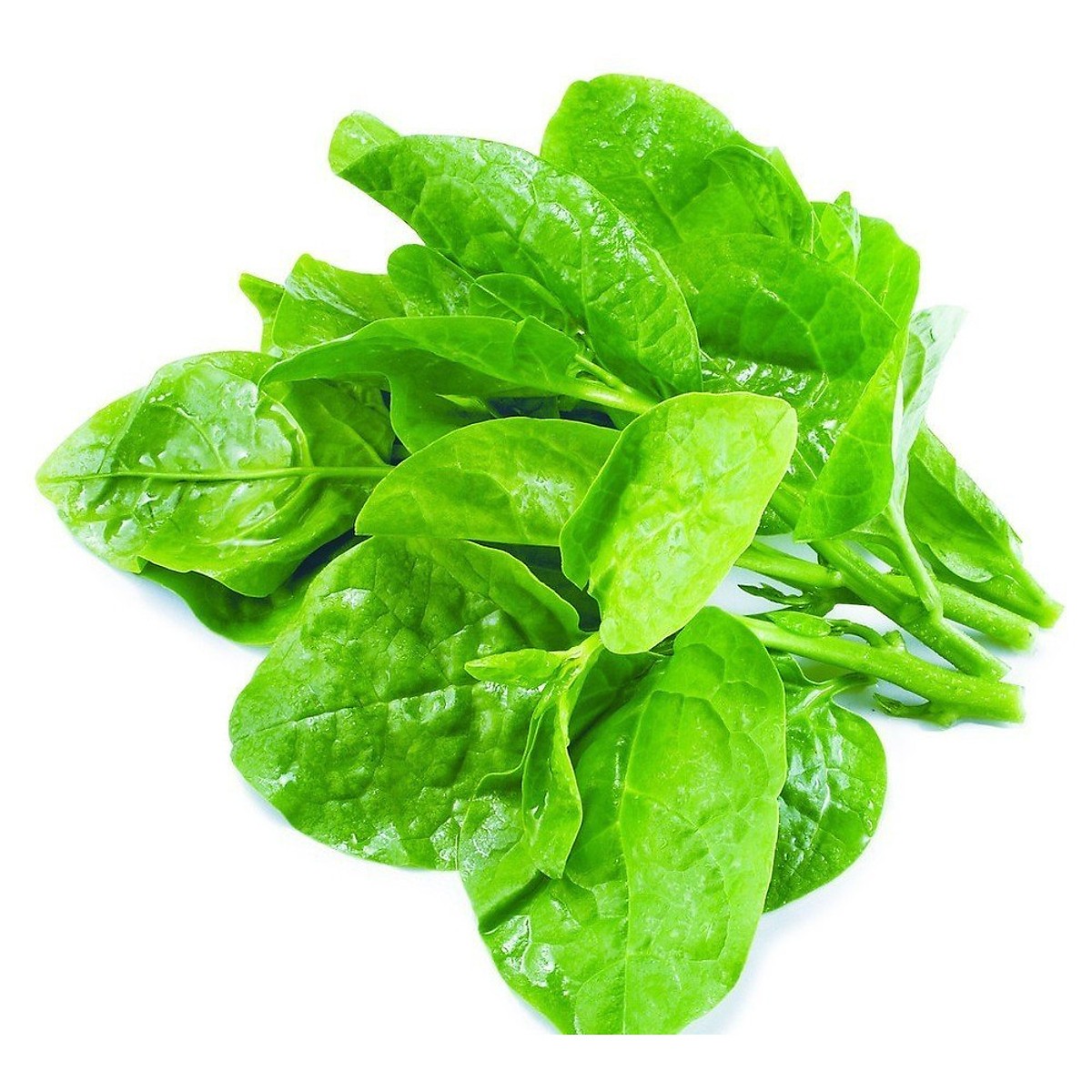 BỒ 2 GÓI HẠT GIỐNG RAU CẢI XANH MỠ VÀ RAU MỒNG TƠI XANH