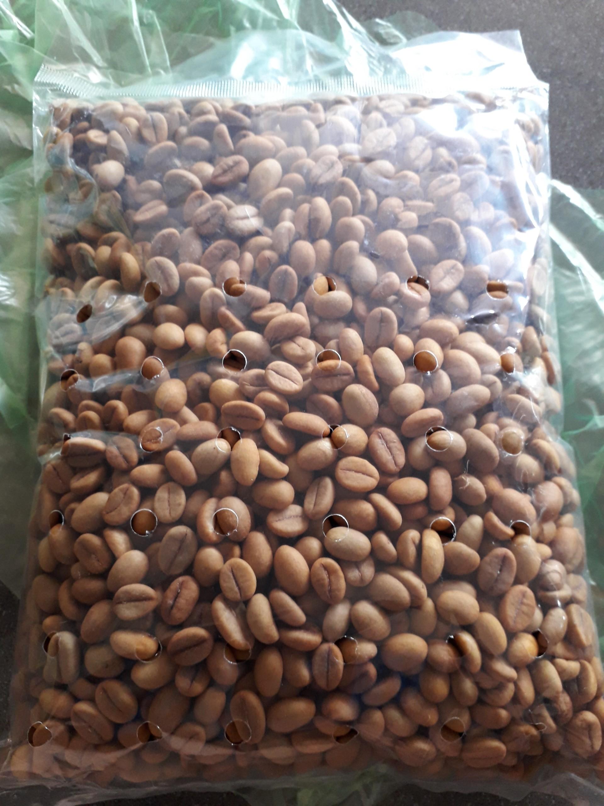 1 KG HẠT GIỐNG CÀ PHÊ XANH LÙN
