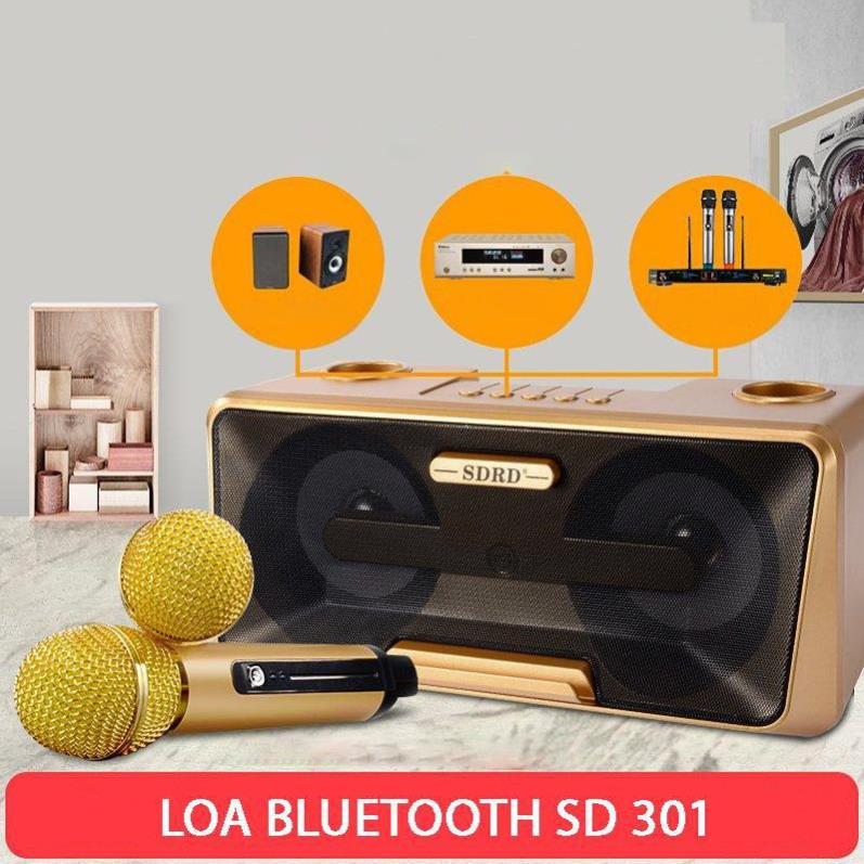 Loa Karaoke SD 301 - SD 306 - SD 309 Kèm 2 Micro Không Dây tích hợp bluetooth 4.0 - usb - thẻ nhớ