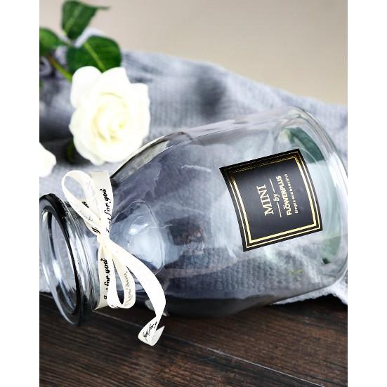 Lọ hoa, bình hoa thủy tinh cao cấp thắt nơ trang trí nội thất Mini Flower Plus Vintage