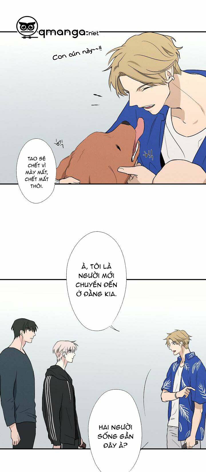 trốn tìm chapter 13 9