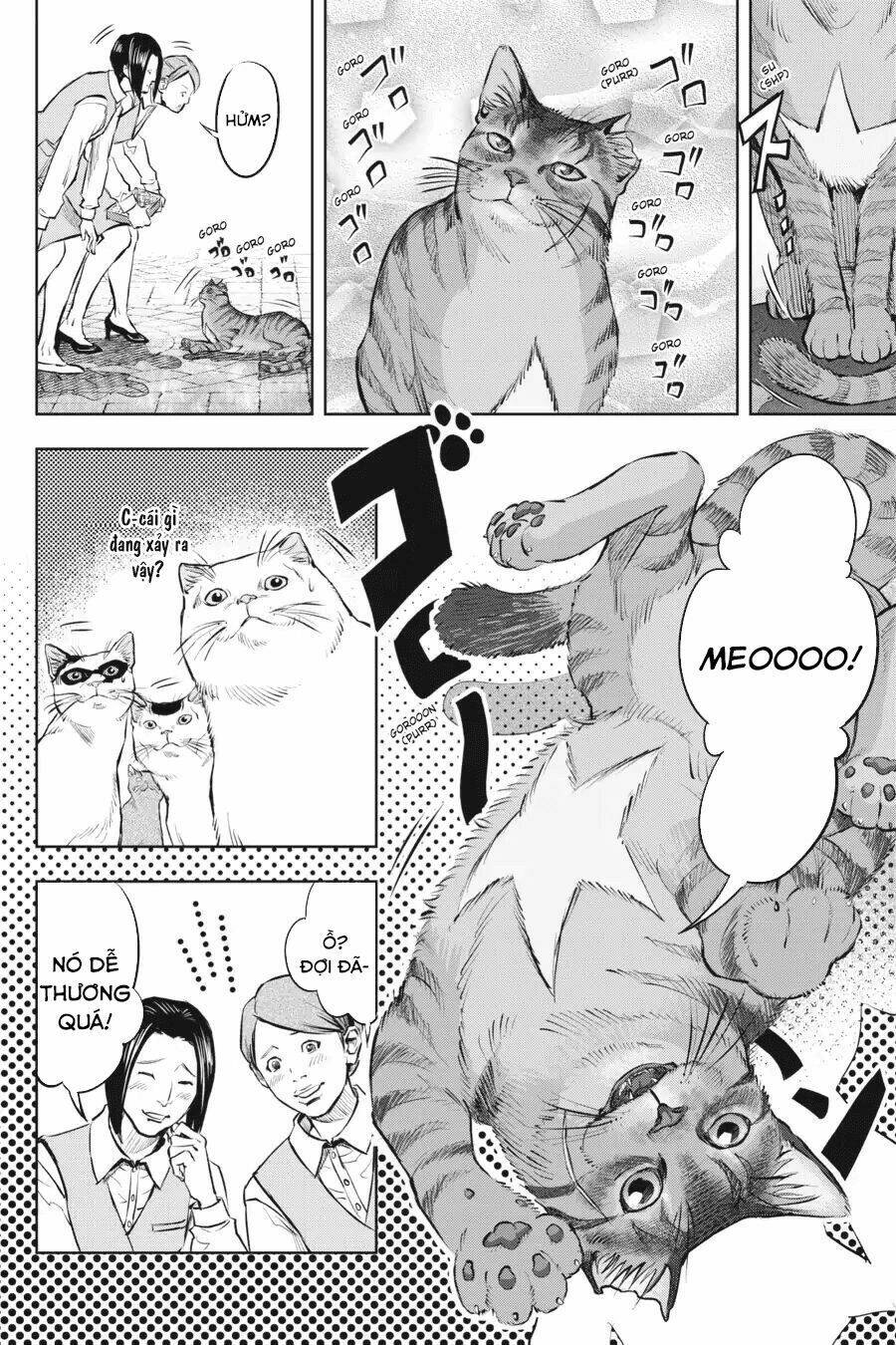 nyankees chapter 1 25