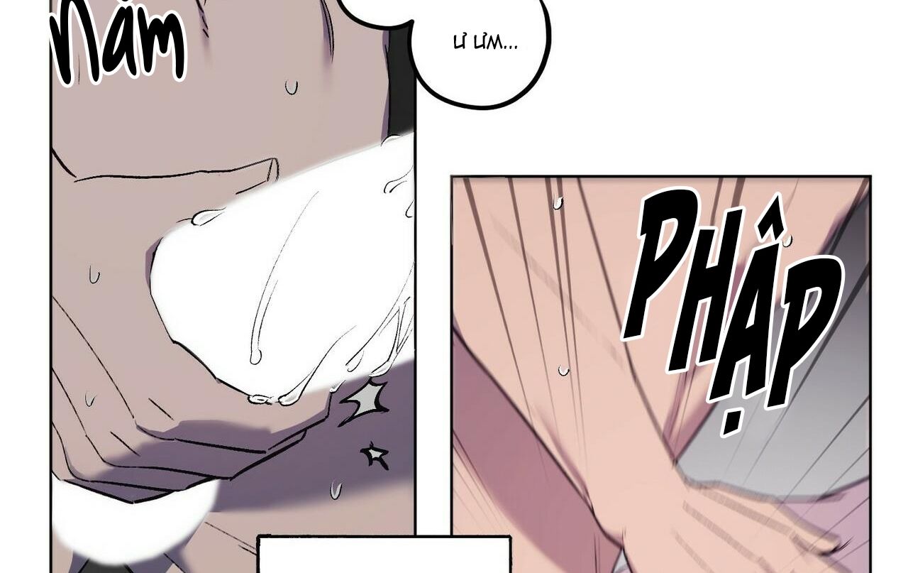 chàng dâu nhà họ kang chapter 20 17