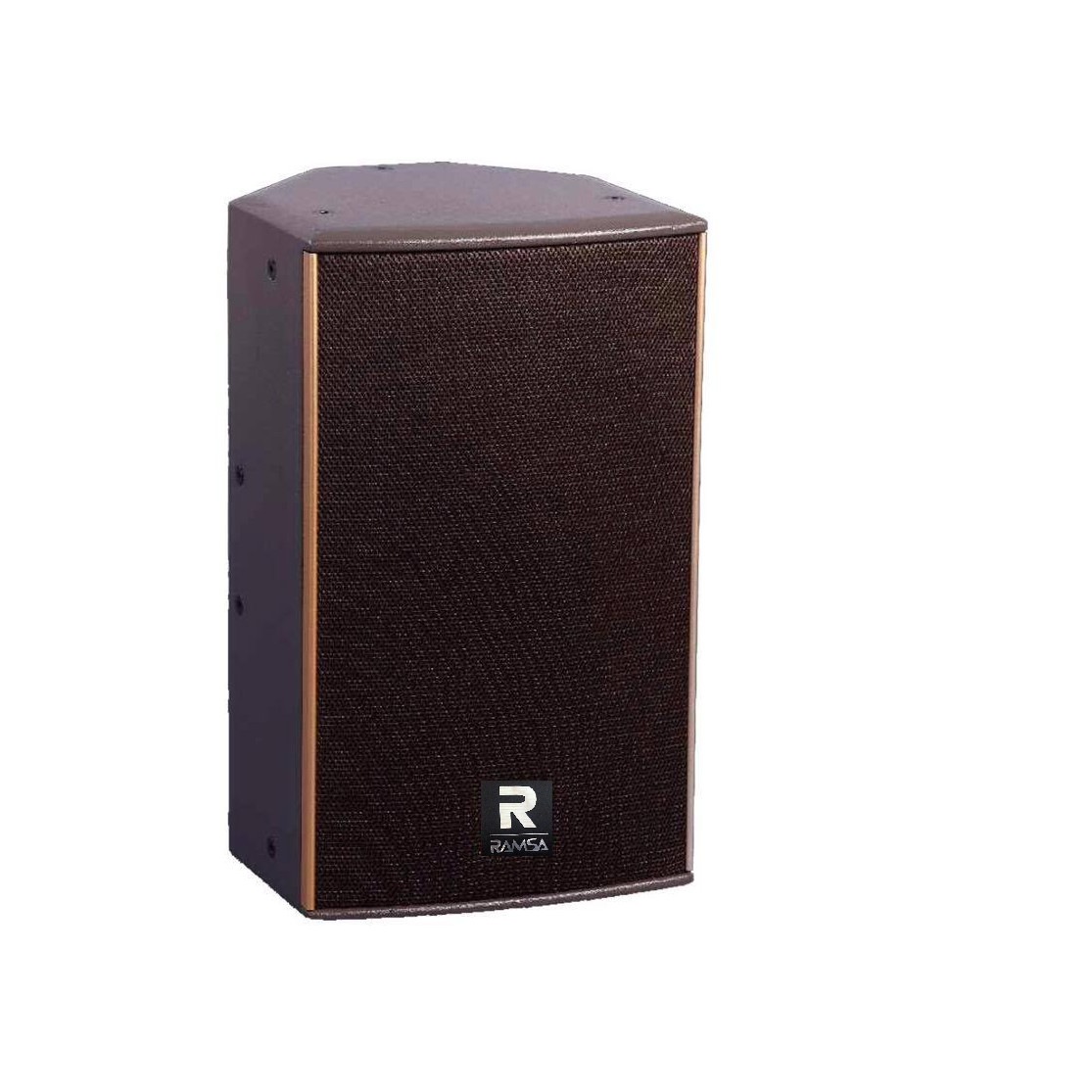 Loa Ramsa R12
