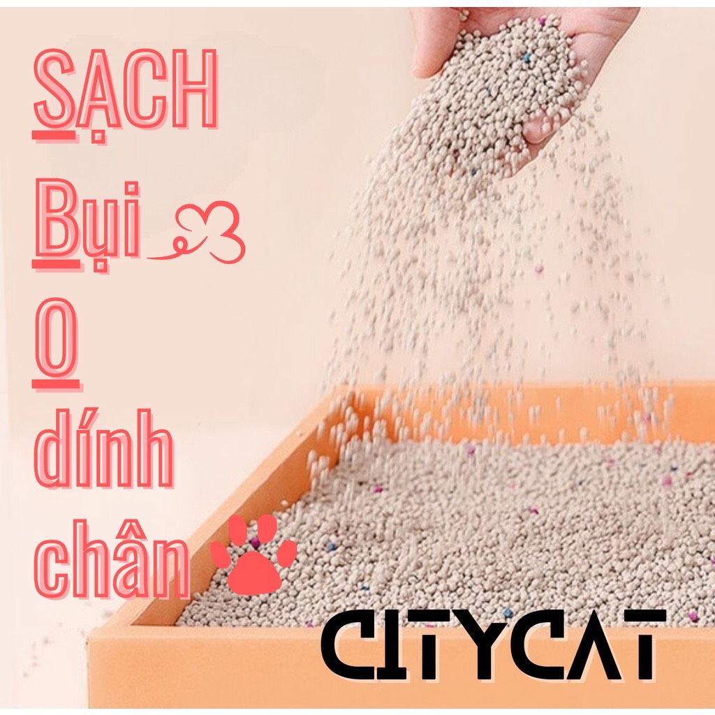 Cát Cho Mèo City Cat 8L (4KG) Đủ Mùi, Siêu Thơm, Siêu Vón Cục