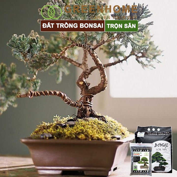 Đất Trồng Cây Bonsai Greenhome, Bao 14 Lít (8kg), Promix, Trộn Sẵn, Tiện Dụng, Giữ Ẩm Tốt, Thoáng Khí, Rễ Khoẻ, Thân To